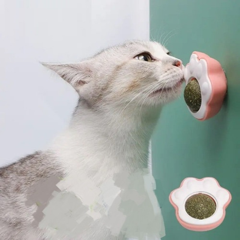 Patinha de brinquedo para gatos com Catnip natural