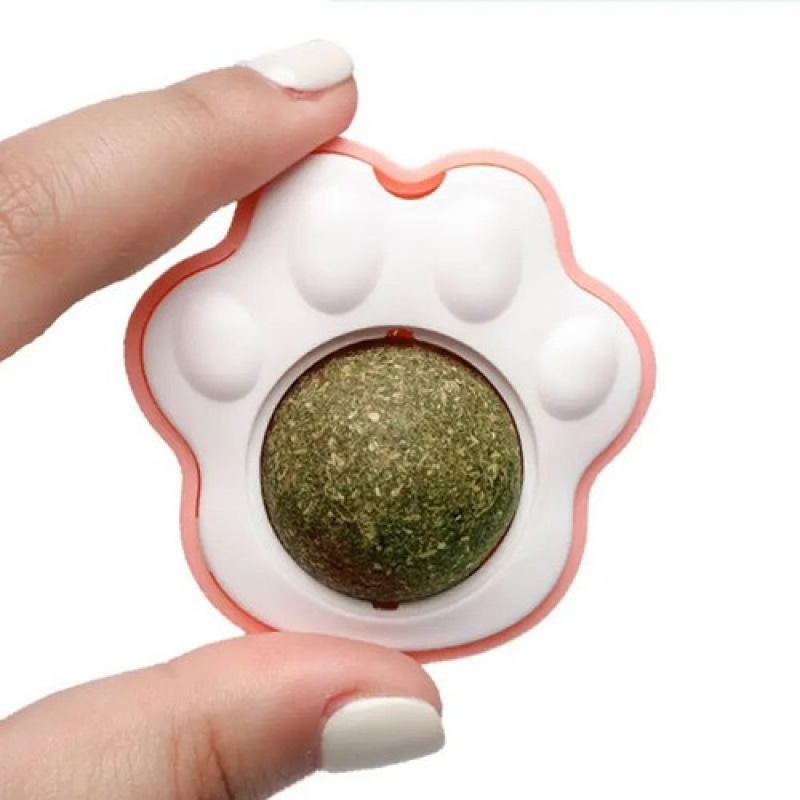 Patinha de brinquedo para gatos com Catnip natural