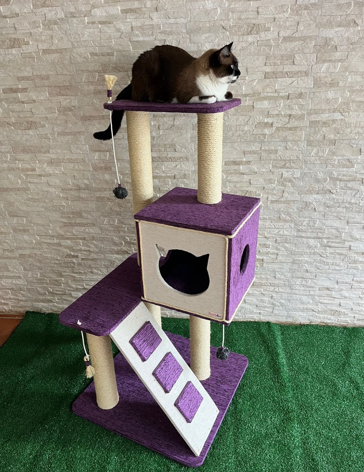 Arranhador Casinha Torre com Escada – Roxo