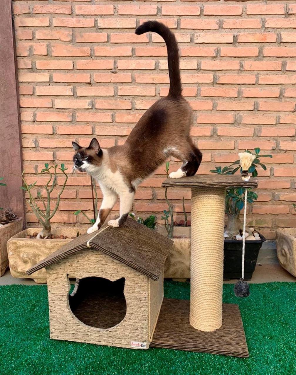 Arranhador Casinha com Torre Simples