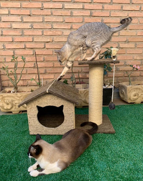 Arranhador Casinha com Torre Simples