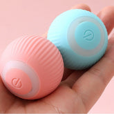 Brinquedo  Bolinha interativa para gatos eletronica