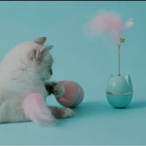 Brinquedo para gatos João bobo