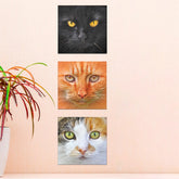 Kit 3 Plaquinhas 16 x 16 cara de  Gatos
